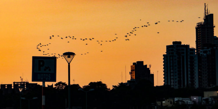 Mitad de semana con ambiente fresco a cálido y vientos del noreste