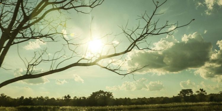 Inicio de semana laboral con temperaturas cálidas y vientos del noreste Inicio de semana laboral con temperaturas cálidas y vientos del noreste