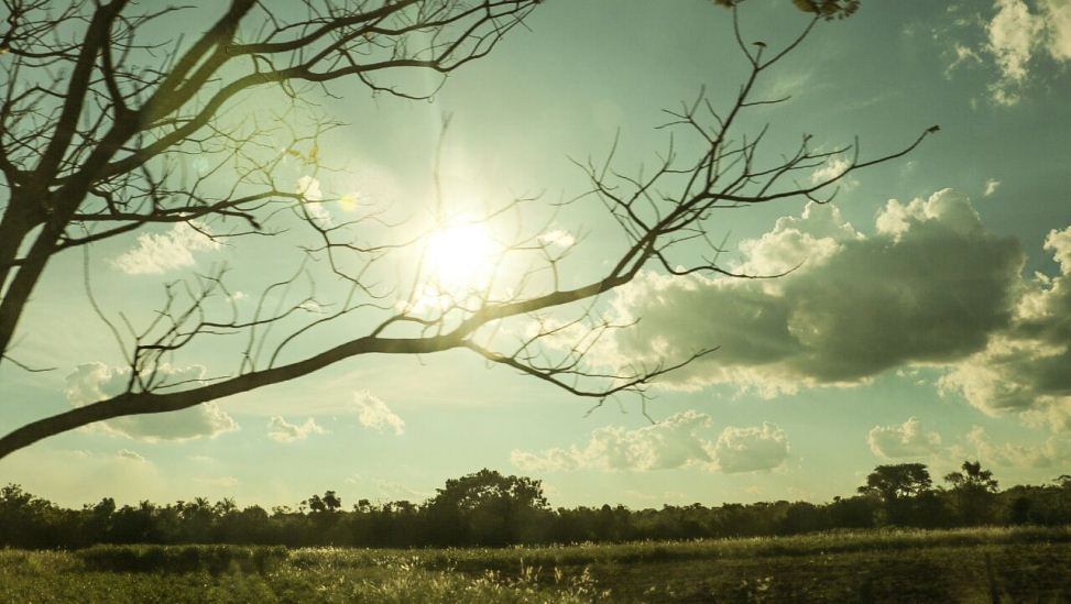 Inicio de semana laboral con temperaturas cálidas y vientos del noreste