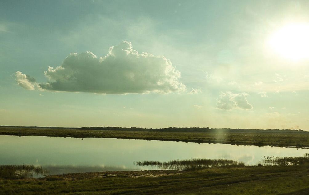 Meteorología pronostica un día soleado y con vientos del noreste
