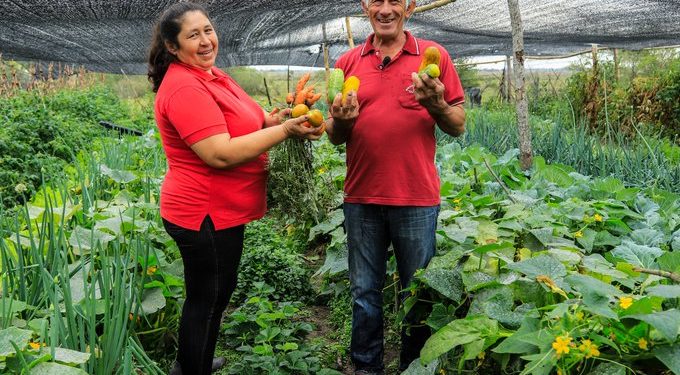 MDS avanza en articulación del Plan de Reducción de la Pobreza MDS avanza en articulación del Plan de Reducción de la Pobreza