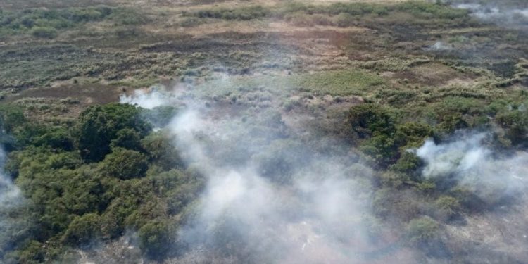 SEN iniciará campaña de sensibilización y prevención de incendios forestales