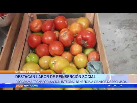 ☑️PROGRAMA DE REINSERCIÓN SOCIAL