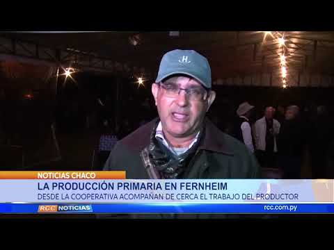 PRODUCCIÓN PRIMARIA EN FERNHEIM