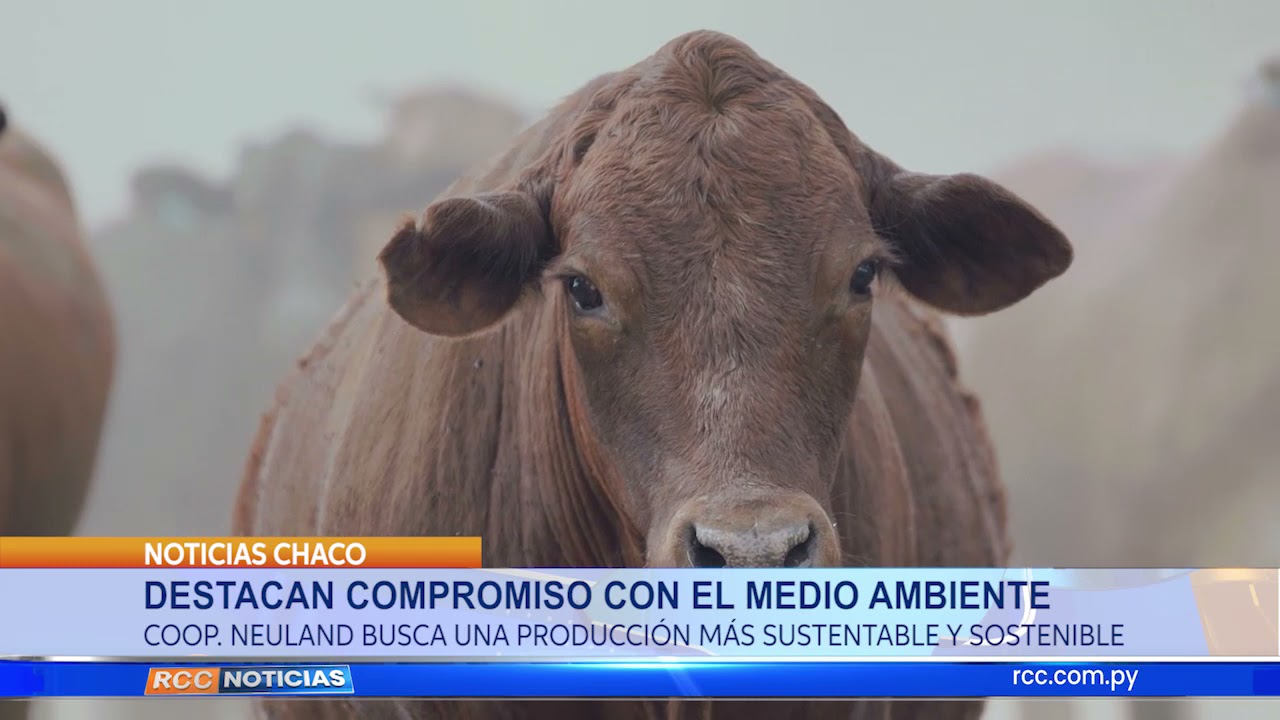 DESTACAN COMPROMISO CON EL MEDIO AMBIENTE