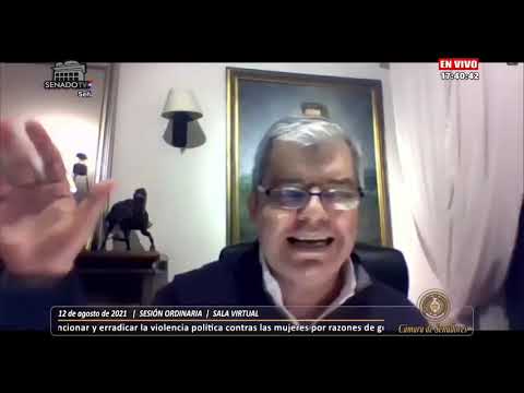 SENADOR ENRIQUE RIERA – EXPOSICIÓN SOBRE PROYECTO DE LEY CONTRA VIOLENCIA POLÍTICA HACIA MUJERES