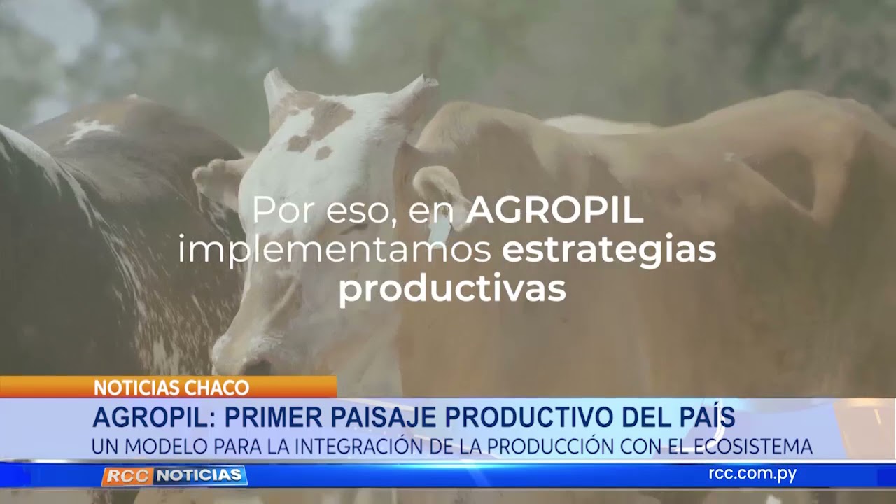 AGROPIL PRIMER PAISAJES PRODUCTIVO DEL PAÍS.