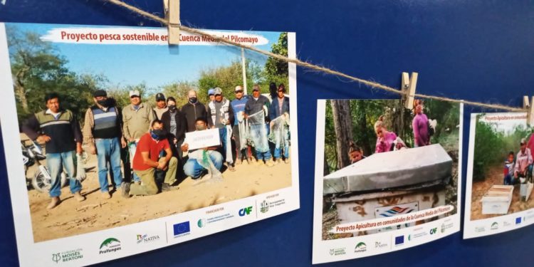 Destacan experiencias positivas del proyecto “Chaco Trinacional” Destacan experiencias positivas del proyecto “Chaco Trinacional”