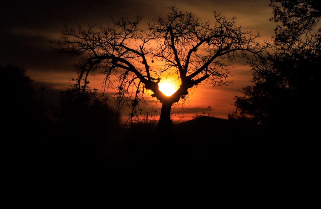 Temperaturas en aumento en lo que resta de la semana Temperaturas en aumento en lo que resta de la semana