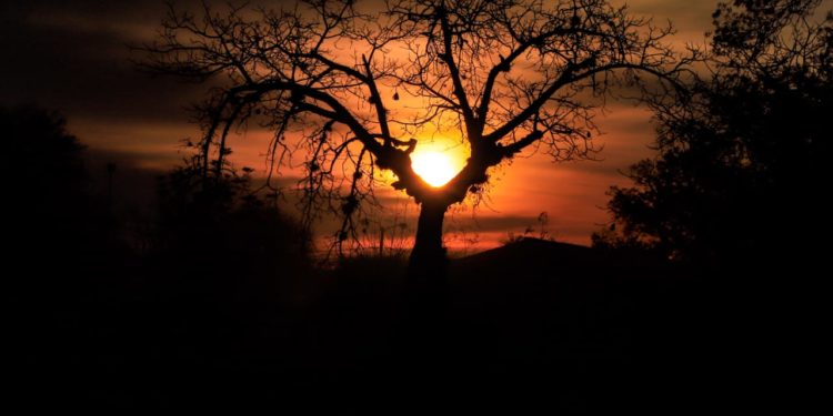 Temperaturas en aumento en lo que resta de la semana Temperaturas en aumento en lo que resta de la semana