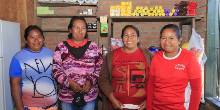 Programas sociales llegan a más de 29.000 familias indígenas del país