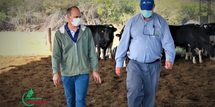 En Chortitzer acompañan al productor primario de cerca para alcanzar sus objetivos En Chortitzer acompañan al productor primario de cerca para alcanzar sus objetivos