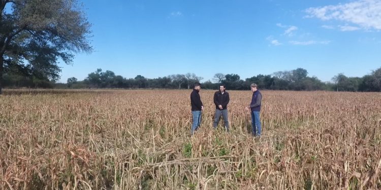 La productividad y el éxito financiero: objetivos claves para el productor chaqueño La productividad y el éxito financiero: objetivos claves para el productor chaqueño