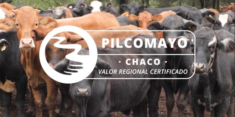 Lanzan sello de origen «Pilcomayo» para productos sustentables del Chaco Lanzan sello de origen «Pilcomayo» para productos sustentables del Chaco