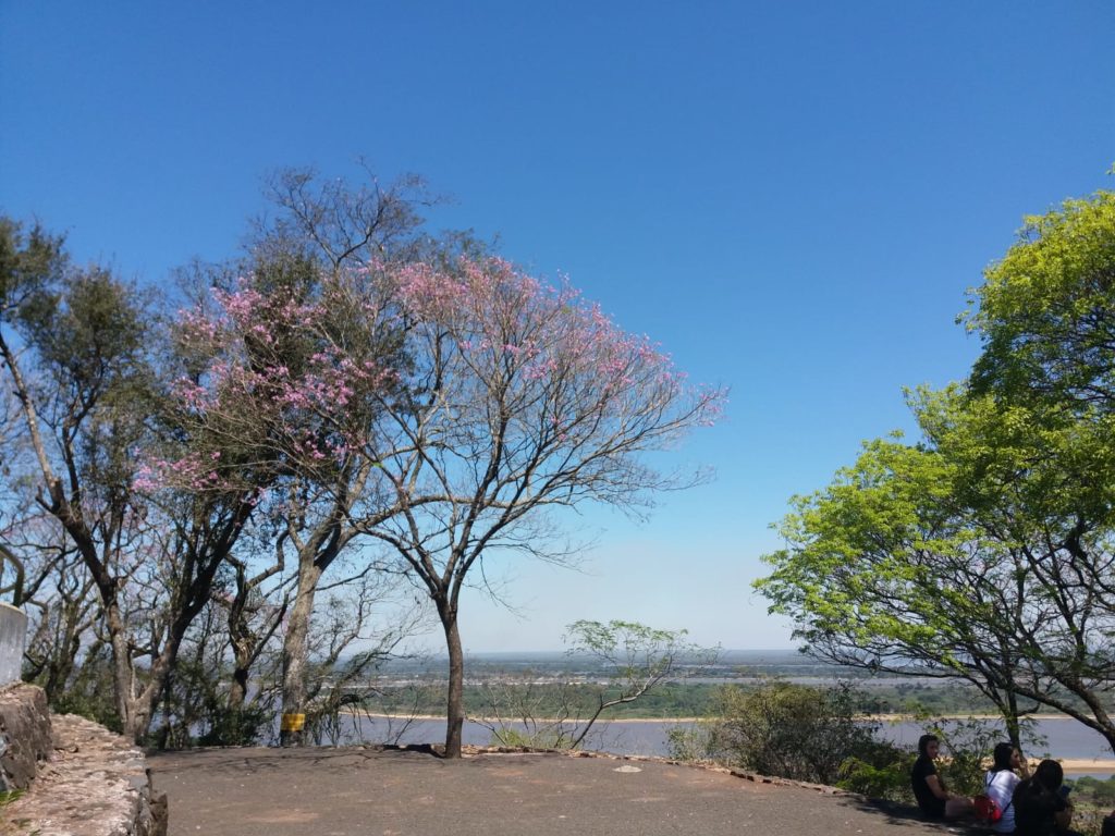 Mitad de semana con ambiente caluroso y vientos del norte