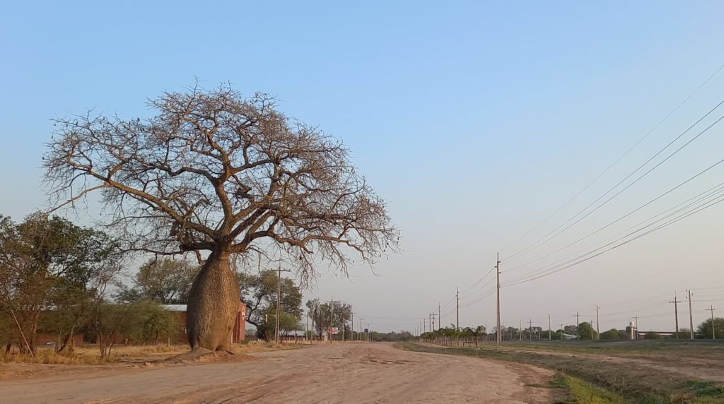 Se anuncian vientos del sur y descenso de temperatura Se anuncian vientos del sur y descenso de temperatura