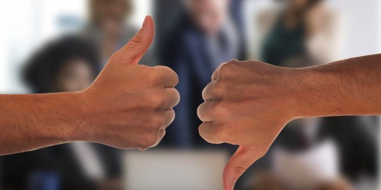 La muerte de un gato La muerte de un gato