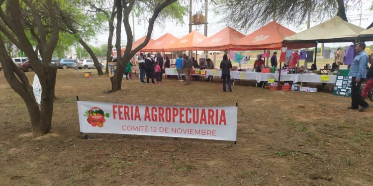 Realizan feria agropecuaria en Loma Plata