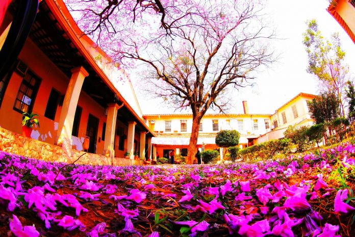 Pronostican jornada calurosa y un cambio brusco de temperatura