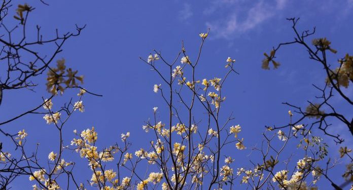 Meteorología anuncia un lunes con ambiente fresco a caluroso