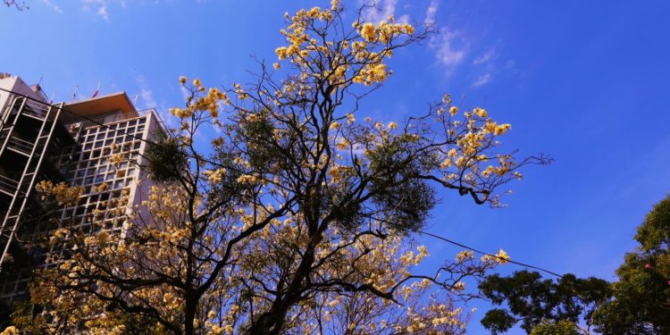 Jornada fría a cálida con cielo parcialmente nublado para este sábado