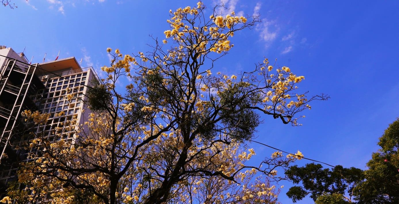 Jornada fría a cálida con cielo parcialmente nublado para este sábado