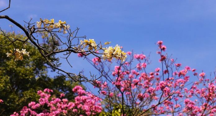 Meteorología anuncia una jornada con mucho calor