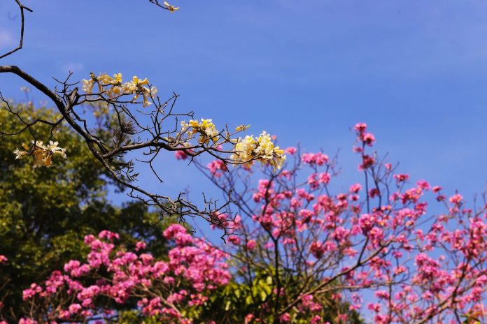 Meteorología anuncia una jornada con mucho calor
