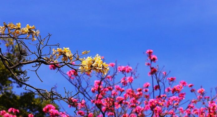 Amaneceres frescos y tardes cálidas para el fin de semana Amaneceres frescos y tardes cálidas para el fin de semana