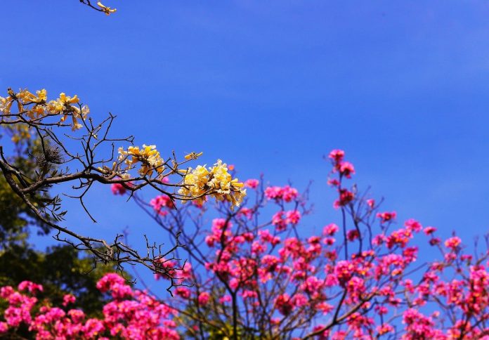 Amaneceres frescos y tardes cálidas para el fin de semana