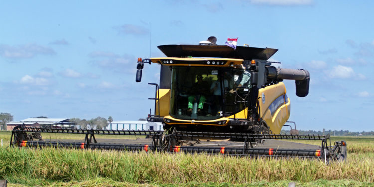 Paraguay participó de pre-cumbre sobre sistemas alimentarios para llevar posición regional
