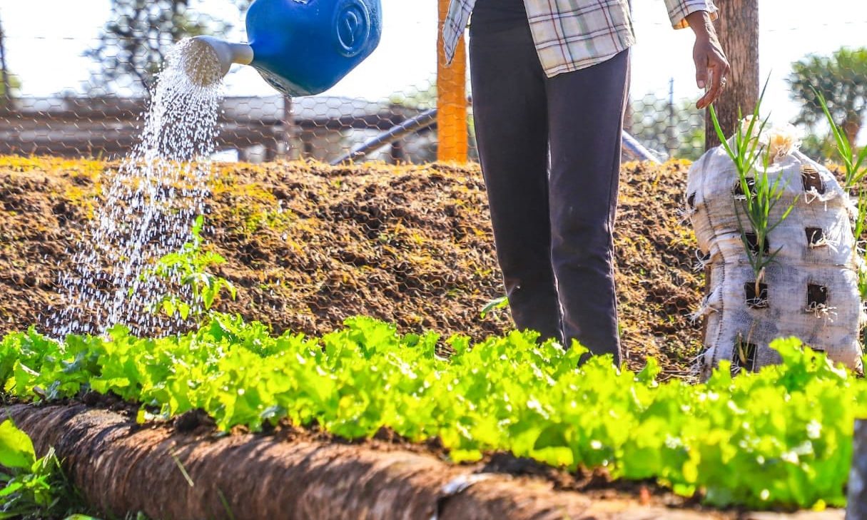 Pandemia no afectó considerablemente sistema alimentario del Paraguay, según FAO