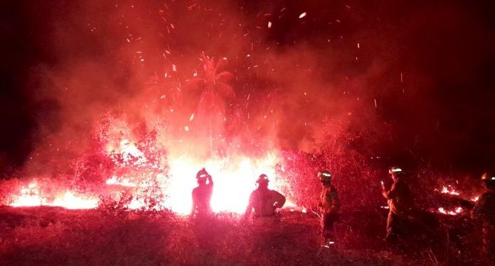Acciones preventivas en el Chaco dieron resultado pero riesgo de incendios continúa Acciones preventivas en el Chaco dieron resultado pero riesgo de incendios continúa