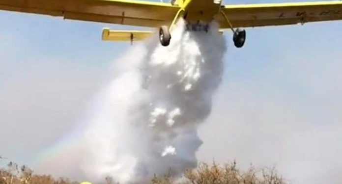Parque Cerro Corá se encuentra sin fuego en su interior y preparan cortafuegos en el norte del Chaco
