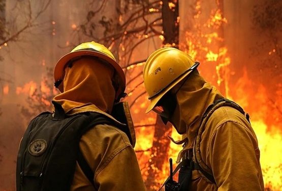 Impulsan campaña interinstitucional para concienciar sobre los efectos de los incendios Impulsan campaña interinstitucional para concienciar sobre los efectos de los incendios