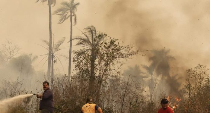 Equipo Económico trabaja en plan de contingencia contra sequía e incendios Equipo Económico trabaja en plan de contingencia contra sequía e incendios
