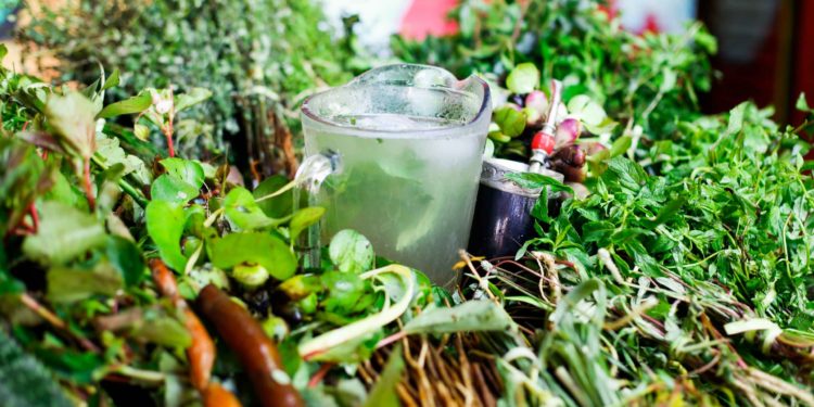 Unesco certifica al tereré y al pohã ñana como patrimonio cultural inmaterial de la humanidad