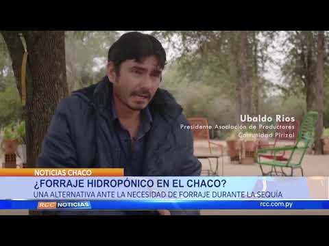 Forraje Hidropónico en el Chaco.