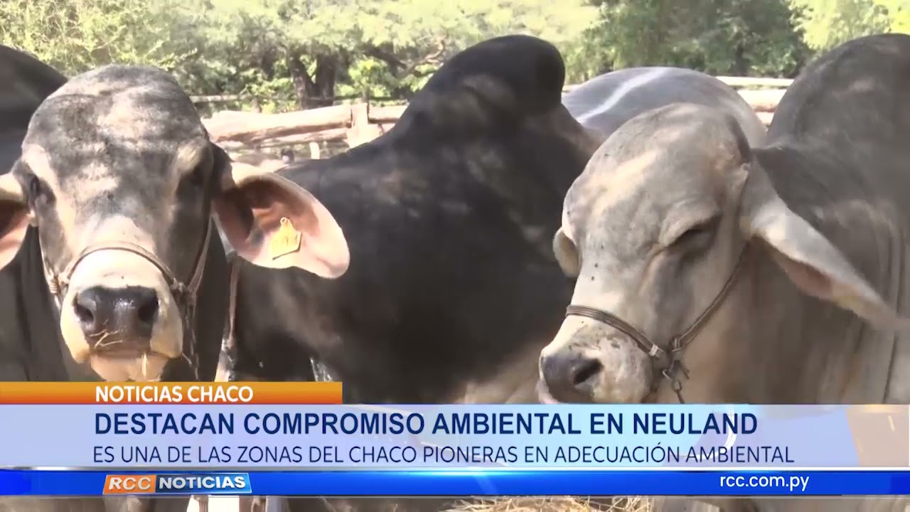 Destacan compromiso ambiental en Neuland