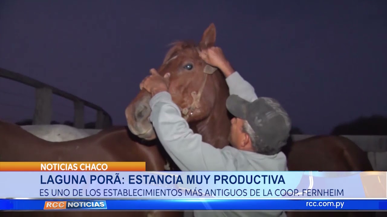 Laguna Porã  Una estancia muy productiva