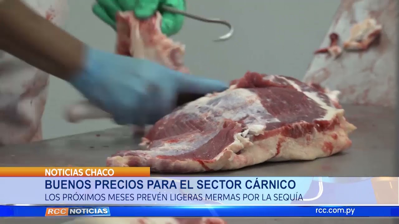 Buenos precios para el sector cárnico
