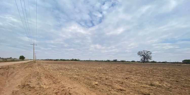 Proyectan construir el primer aeropuerto municipal para la ciudad de Filadelfia