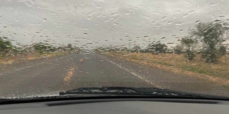 Lluvia de bonanza para el Chaco Central Lluvia de bonanza para el Chaco Central