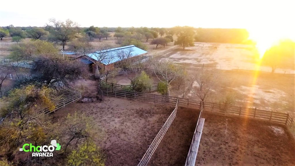 Chacra Experimental Fernheim: más de 75 años dedicados al mejoramiento productivo Chacra Experimental Fernheim: más de 75 años dedicados al mejoramiento productivo