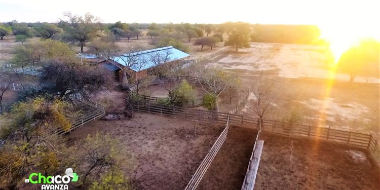 Chacra Experimental Fernheim: más de 75 años dedicados al mejoramiento productivo