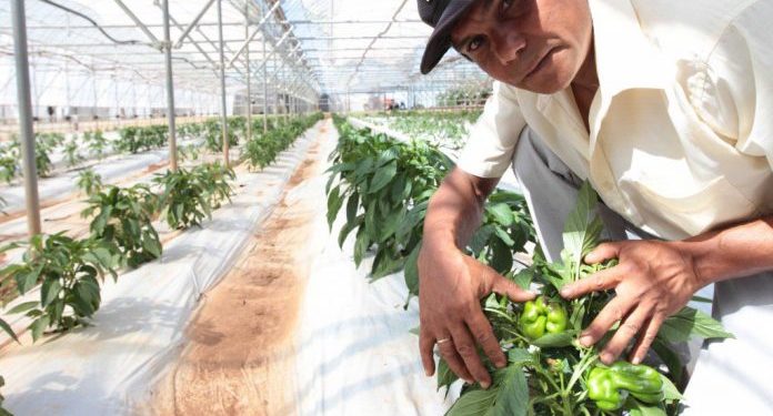 El ministro del MAG coordinó tareas beneficiando al sector productivo del país