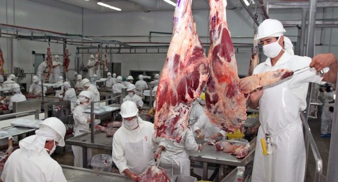 Paraguay establece nuevo récord con más de 238.000 toneladas de carne bovina exportadas