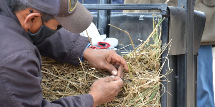 Transformando la escasez en abundancia