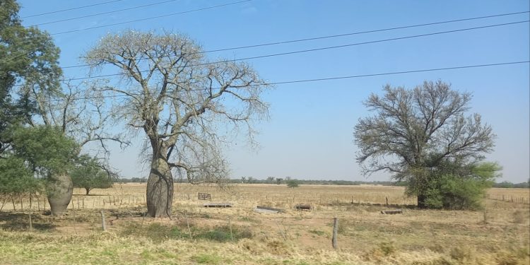 Mitad de semana con ambiente caluroso en todo el país Mitad de semana con ambiente caluroso en todo el país
