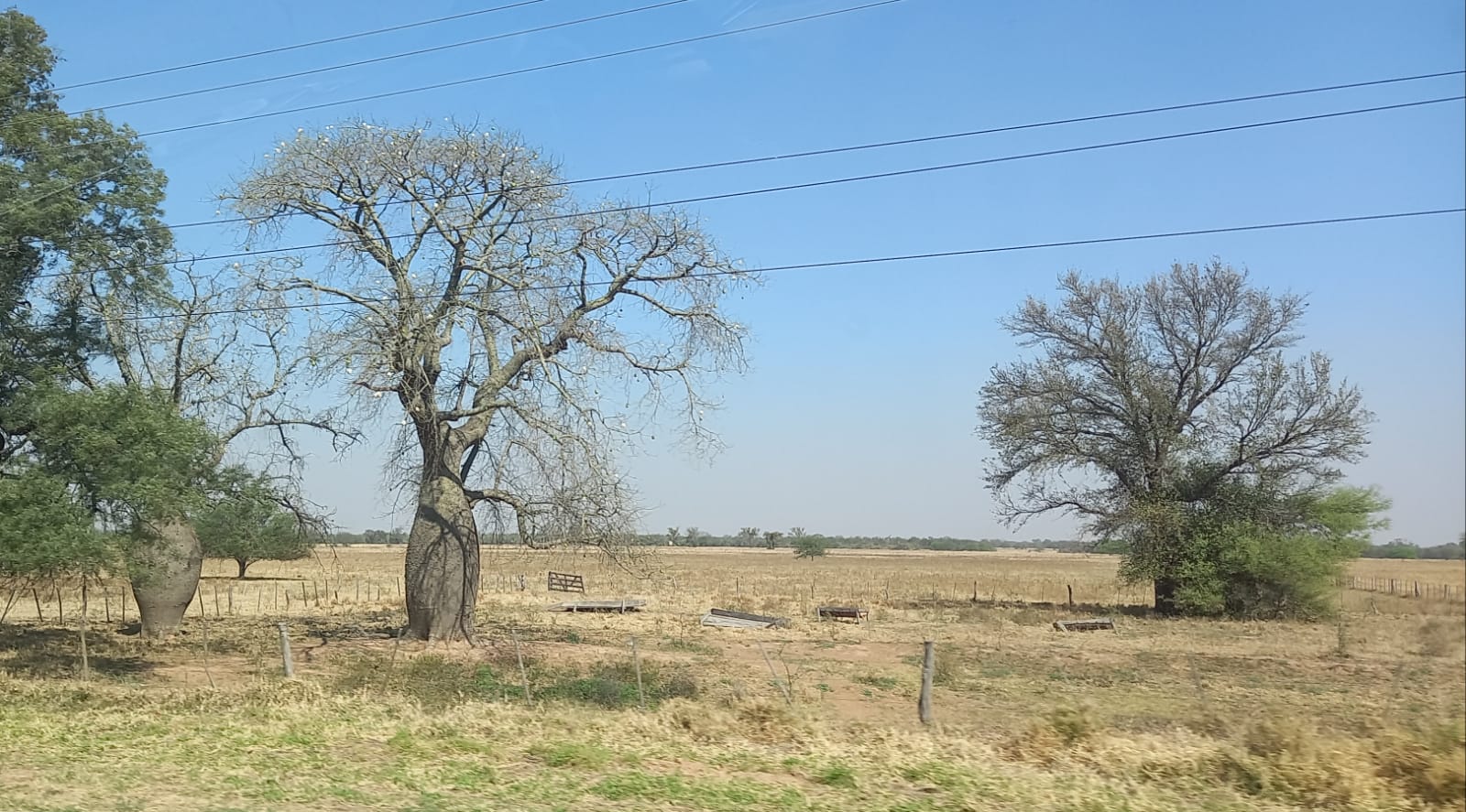 Mitad de semana con ambiente caluroso en todo el país